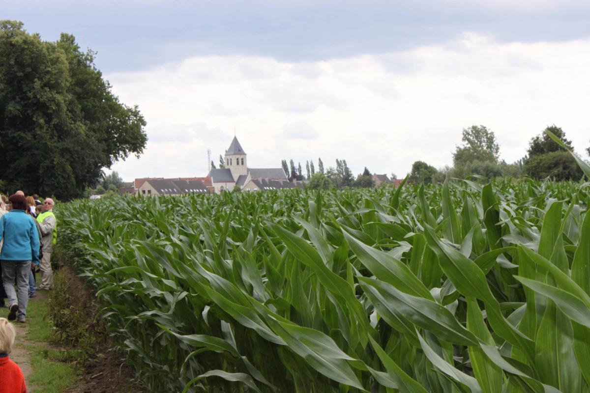 Historische Wandeling Wieze