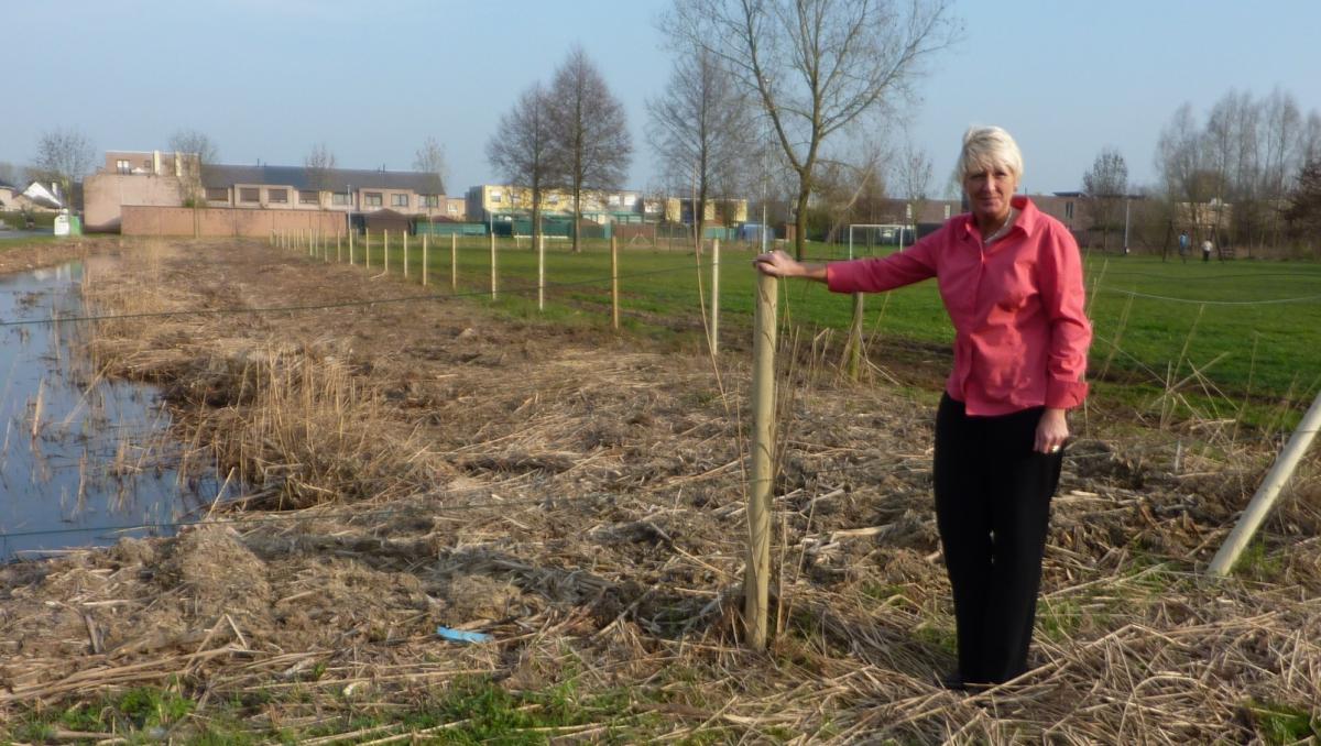 Els Sinnaeve Meysveld Moeras Speelplein